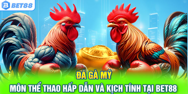 Khái niệm về sảnh đá gà bet88